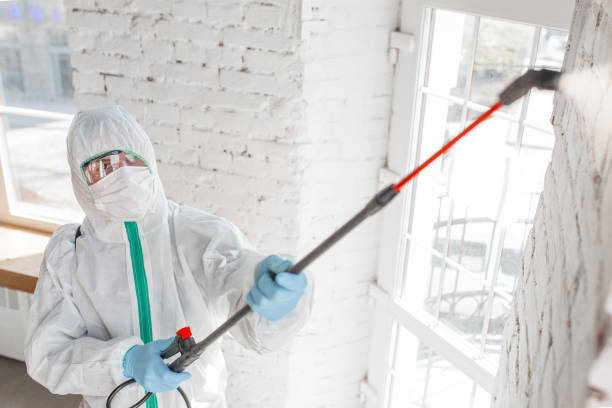 Best Biohazard Mold Removal  in USA