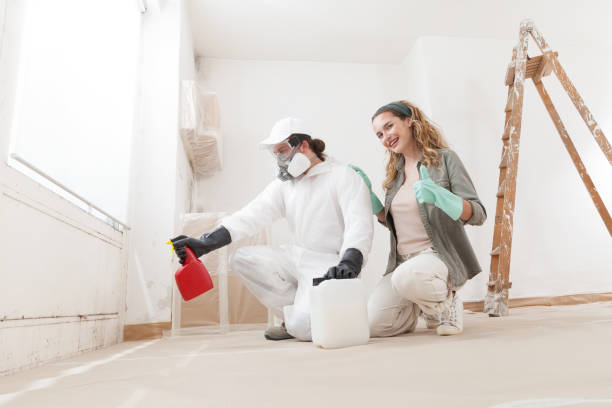 Best Industrial Mold Remediation  in USA